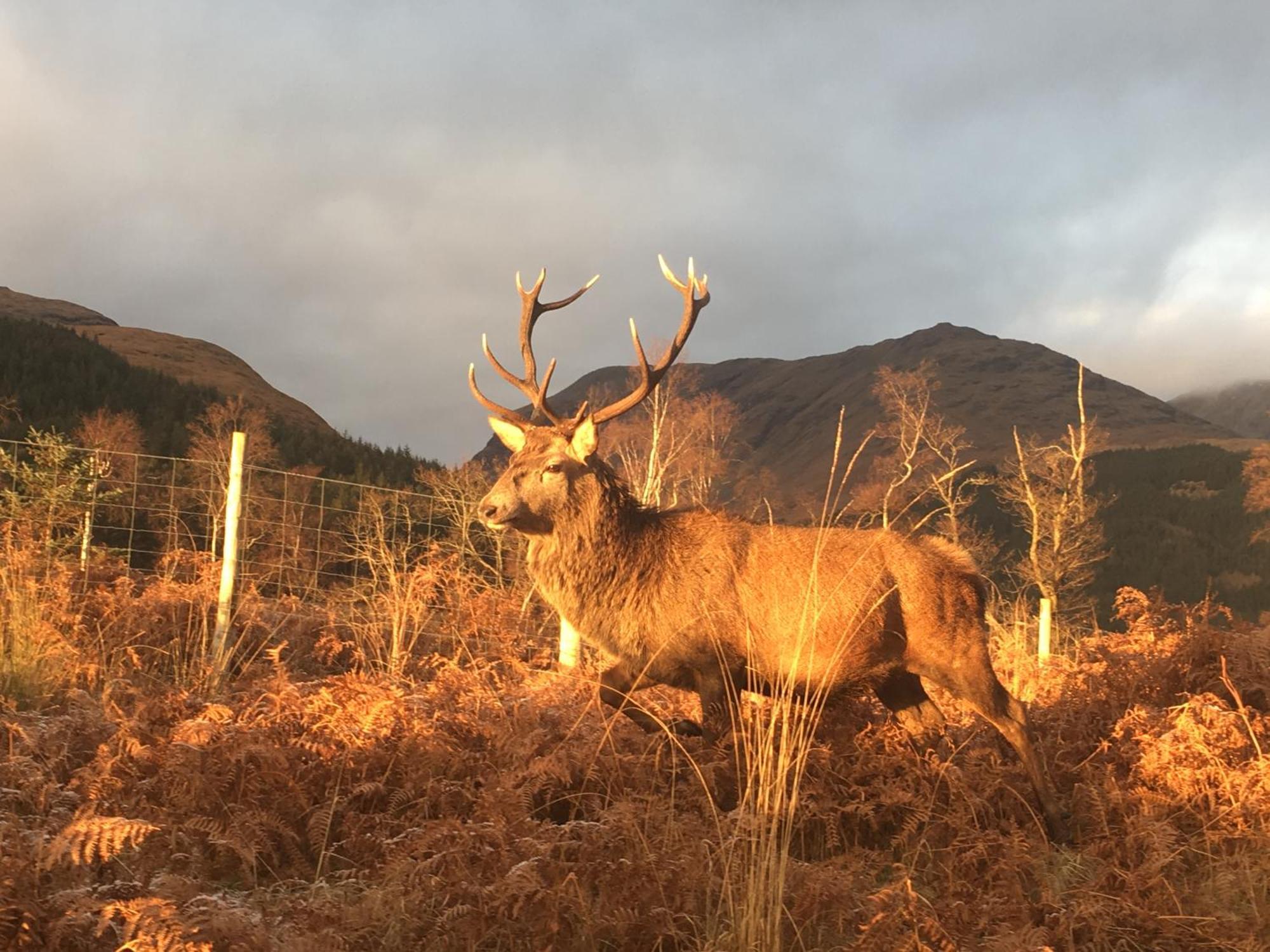 Stronchreggan View Guest House Fort William Buitenkant foto
